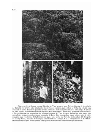 Livro: Fundamentos de ecologia