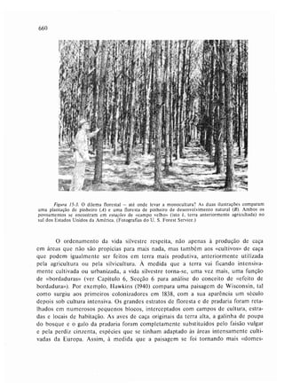 Livro: Fundamentos de ecologia