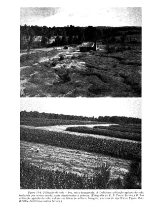 Livro: Fundamentos de ecologia