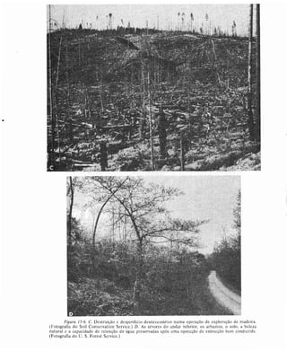 Livro: Fundamentos de ecologia