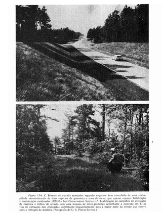 Livro: Fundamentos de ecologia