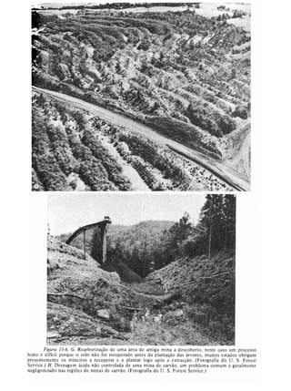 Livro: Fundamentos de ecologia