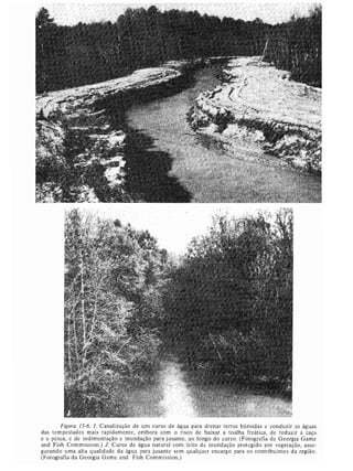 Livro: Fundamentos de ecologia