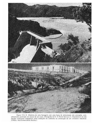 Livro: Fundamentos de ecologia