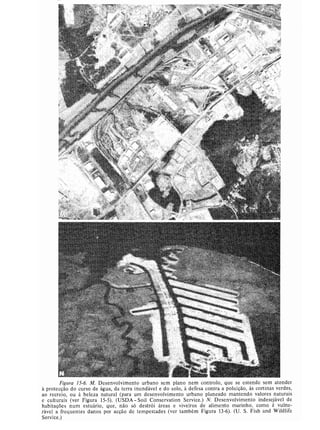 Livro: Fundamentos de ecologia