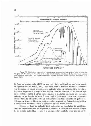 Livro: Fundamentos de ecologia