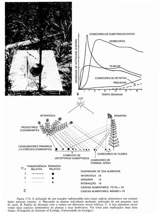 Livro: Fundamentos de ecologia
