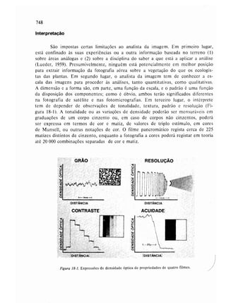 Livro: Fundamentos de ecologia