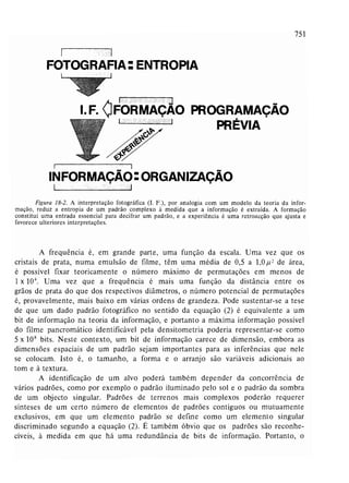 Livro: Fundamentos de ecologia