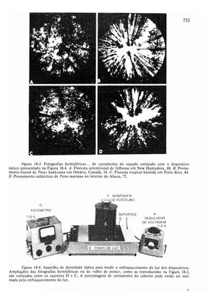 Livro: Fundamentos de ecologia