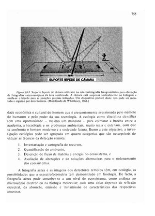 Livro: Fundamentos de ecologia