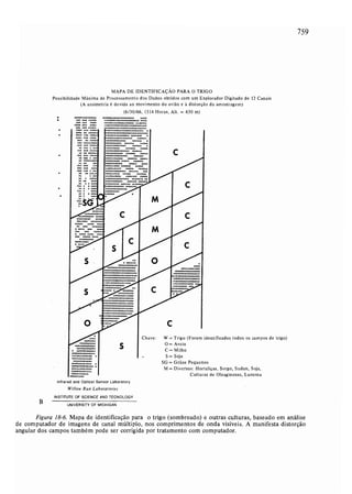 Livro: Fundamentos de ecologia