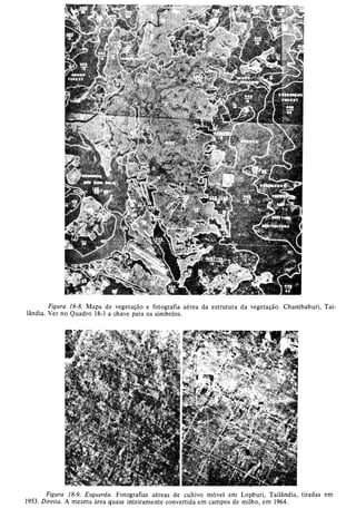 Livro: Fundamentos de ecologia