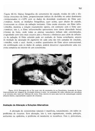 Livro: Fundamentos de ecologia