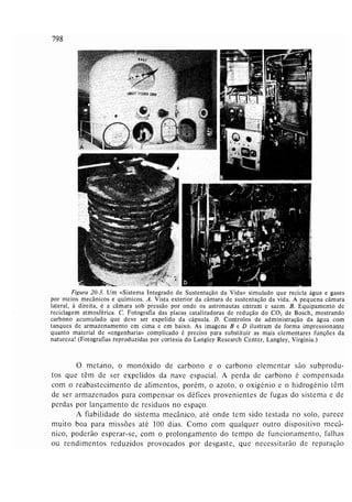 Livro: Fundamentos de ecologia