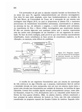Livro: Fundamentos de ecologia