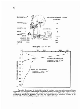 Livro: Fundamentos de ecologia