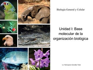 Biología General y Celular Unidad I: Base molecular de la organización biológica Lic. Raúl Ignacio González Tobar 