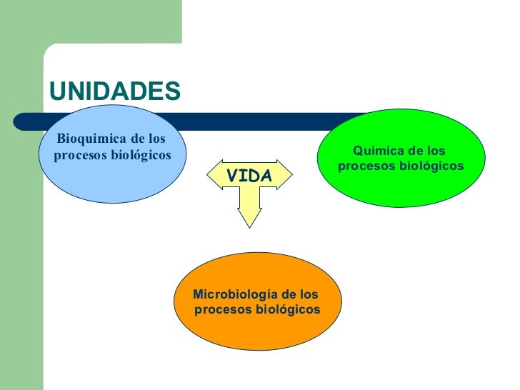 Fundamentos De Los Procesos Biologicos