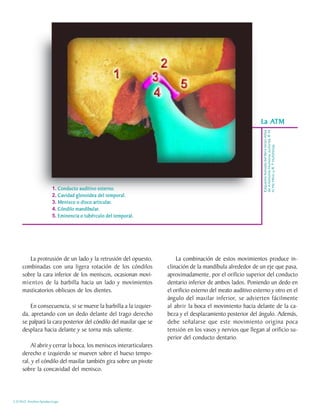 ATM
                                                                                                              La ATM




                                                                                                               de Anatomía Humana, autores: R. M.
                                                                                                               Esquema tomado del libro Gran Atlas

                                                                                                               H. Mc Minn y R. T. Hutchings
                         1. Conducto auditivo externo.
                         2. Cavidad glenoidea del temporal.
                         3. Menisco o disco articular.
                                            articular.
                         4. Cóndilo mandibular.
                                    mandibular
                                           ular.
                         5. Eminencia o tubérculo del temporal.




        La protrusión de un lado y la retrusión del opuesto,            La combinación de estos movimientos produce in-
     combinadas con una ligera rotación de los cóndilos             clinación de la mandíbula alrededor de un eje que pasa,
     sobre la cara inferior de los meniscos, ocasionan movi-        aproximadamente, por el orificio superior del conducto
     mientos de la barbilla hacia un lado y movimientos             dentario inferior de ambos lados. Poniendo un dedo en
     masticatorios oblicuos de los dientes.                         el orificio externo del meato auditivo externo y otro en el
                                                                    ángulo del maxilar inferior, se advierten fácilmente
         En consecuencia, si se mueve la barbilla a la izquier-     al abrir la boca el movimiento hacia delante de la ca-
     da, apretando con un dedo delante del trago derecho            beza y el desplazamiento posterior del ángulo. Además,
     se palpará la cara posterior del cóndilo del maxilar que se    debe señalarse que este movimiento origina poca
     desplaza hacia delante y se torna más saliente.                tensión en los vasos y nervios que llegan al orificio su-
                                                                    perior del conducto dentario.
         Al abrir y cerrar la boca, los meniscos interarticulares
     derecho e izquierdo se mueven sobre el hueso tempo-
     ral, y el cóndilo del maxilar también gira sobre un pivote
     sobre la concavidad del menisco.




C.D.M.O. Anselmo Apodaca Lugo
 