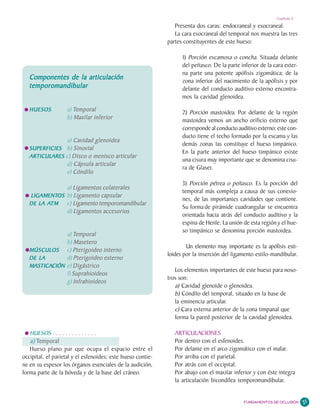 Capítulo 2

                                                                Presenta dos caras: endocraneal y exocraneal.
                                                                La cara exocraneal del temporal nos muestra las tres
                                                             partes constituyentes de este hueso:

                                                                   1) Porción escamosa o concha. Situada delante
                                                                   del peñasco. De la parte inferior de la cara exter-
                                                                   na parte una potente apófisis zigomática; de la
   Componentes de la articulación                                  zona inferior del nacimiento de la apófisis y por
   temporomandibular                                               delante del conducto auditivo externo encontra-
                                                                   mos la cavidad glenoidea.

   HUESOS          a) Temporal                                     2) Porción mastoidea. Por delante de la región
                   b) Maxilar inferior                             mastoidea vemos un ancho orificio externo que
                                                                   corresponde al conducto auditivo externo; este con-
                                                                   ducto tiene el techo formado por la escama y las
               a) Cavidad glenoidea
                                                                   demás zonas las constituye el hueso timpánico.
   SUPERFICIES b) Sinovial
                                                                   En la parte anterior del hueso timpánico existe
   ARTICULARES c) Disco o menisco articular
                                                                   una cisura muy importante que se denomina cisu-
               d) Cápsula articular
                                                                   ra de Glaser.
               e) Cóndilo
                                                                   3) Porción pétrea o peñasco. Es la porción del
              a) Ligamentos colaterales
                                                                   temporal más compleja a causa de sus conexio-
   LIGAMENTOS b) Ligamento capsular
   LIGAMENTOS
                                                                   nes, de las importantes cavidades que contiene.
         ATM
   DE LA ATM  c) Ligamento temporomandibular
                                                                   Su forma de pirámide cuadrangular se encuentra
              d) Ligamentos accesorios
                                                                   orientada hacia atrás del conducto auditivo y la
                                                                   espina de Henle. La unión de esta región y el hue-
                                                                   so timpánico se denomina porción mastoidea.
               a) Temporal
               b) Masetero
                                                                     Un elemento muy importante es la apófisis esti-
   MÚSCULOS c) Pterigoideo interno
                                                             loides por la inserción del ligamento estilo-mandibular.
   DE LA       d) Pterigoideo externo
   MASTICACIÓN e) Digástrico
   MASTICACIÓN
                                                                Los elementos importantes de este hueso para noso-
               f) Suprahioideos
                                                             tros son:
               g) Infrahioideos
                                                                a) Cavidad glenoide o glenoidea.
                                                                b) Cóndilo del temporal, situado en la base de
                                                                la eminencia articular.
                                                                c) Cara externa anterior de la zona timpanal que
                                                                forma la pared posterior de la cavidad glenoidea.

   HUESOS . . . . . . . . . . . . . .                           ARTICULACIONES
   a) Temporal                                                  Por dentro con el esfenoides.
   Hueso plano par que ocupa el espacio entre el                Por delante en el arco zigomático con el malar.
occipital, el parietal y el esfenoides; este hueso contie-      Por arriba con el parietal.
ne en su espesor los órganos esenciales de la audición,         Por atrás con el occipital.
forma parte de la bóveda y de la base del cráneo.               Por abajo con el maxilar inferior y con éste integra
                                                                la articulación bicondílea temporomandibular.


                                                                                              FUNDAMENTOS DE OCLUSIÓN    21
 