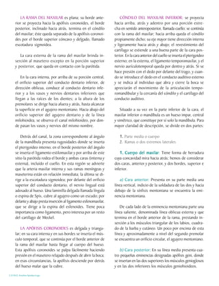 LA RAMA DEL MAXILAR es plana; su borde ante-                    CÓNDILO DEL MAXILAR INFERIOR; se proyecta
     rior se proyecta hacia la apófisis coronoides, el borde        hacia arriba, atrás y adentro por una porción estre-
     posterior, inclinado hacia atrás, termina en el cóndilo        cha en sentido anteroposterior, llamada cuello; se continúa
     del maxilar; éste queda separado de la apófisis coronoi-       con la rama del maxilar; hacia arriba queda el cóndilo
     des por el borde superior cóncavo y delgado, llamado           propiamente dicho; su eje mayor tiene dirección interna
     escotadura sigmoidea.                                          y ligeramente hacia atrás y abajo; el revestimiento del
                                                                    cartílago se extiende a una buena parte de la cara pos-
        La cara externa de la rama del maxilar brinda in-           terior. En la cara anterior del cuello se inserta el pterigoideo
     serción al masetero excepto en la porción superior             externo; en la externa, el ligamento temporomaxilar, y el
     y posterior, que queda en contacto con la parótida.            nervio aurículotemporal queda por dentro y atrás. Si se
                                                                    hace presión con el dedo por delante del trago, y cuan-
         En la cara interna, por arriba de su porción central,      do se introduce el dedo en el conducto auditivo externo
     el orificio superior del conducto dentario inferior, de        y se indica al individuo que abra y cierre la boca se
     dirección oblicua, conduce al conducto dentario infe-          apreciarán el movimiento de la articulación tempo-
     rior y a los vasos y nervios dentarios inferiores que          romandibular y la cercanía del cóndilo y el cartílago del
     llegan a las raíces de los dientes; a la altura de los         conducto auditivo.
     premolares se dirige hacia afuera y atrás, hasta alcanzar
     la superficie en el agujero mentoniano. Hacia abajo del            Situado a su vez en la parte inferior de la cara, el
     orificio superior del agujero dentario y de la línea           maxilar inferior o mandíbula es un hueso impar, central
     milohioidea, se observa el canal milohioideo, por don-         y simétrico, que constituye por sí solo la mandíbula. Para
     de pasan los vasos y nervios del mismo nombre.                 mayor claridad de descripción, se divide en dos partes:

         Detrás del canal, la zona correspondiente al ángulo           1. Parte media o cuerpo
     de la mandíbula presenta rugosidades donde se inserta             2. Ramas o dos extremos laterales
     el pterigoideo interno; en el borde posterior del ángulo
     se inserta el ligamento estilomaxilar y por arriba de este         1. Cuerpo del maxilar Tiene forma de herradura
                                                                                         maxilar:
     sitio la parótida rodea el borde y ambas caras (interna y      cuya concavidad mira hacia atrás; hemos de considerar
     externa), incluido el cuello. En esta región se advierte       dos caras, anterior y posterior, y dos bordes, superior e
     que la arteria maxilar interna y sus ramas meníngeas y         inferior.
     maseterina están en relación inmediata; la última se di-
     rige a la escotadura sigmoidea; por delante del orificio           a) Cara anterior: Presenta en su parte media una
     superior del conducto dentario, el nervio lingual está         línea vertical, indicio de la soldadura de las dos y hacia
     adosado al hueso. Una laminilla delgada llamada língula        debajo de la sínfisis mentoniana se encuentra la emi-
     o espina de Spix, cubre al agujero como un escudo; por         nencia mentoniana.
     delante y abajo presta inserción al ligamento esfenomaxilar,
     que se dirige a la espina del esfenoides. Tiene poca               De cada lado de la eminencia mentoniana parte una
     importancia como ligamento, pero interesa por un resto         línea saliente, denominada línea oblicua externa y que
     del cartílago de Meckel.                                       termina en el borde anterior de la rama, prestando in-
                                                                    serción a los músculos triangular de los labios, cuadra-
         LA APÓFISIS CORONOIDES es delgada y triangu-               do de la barba y cutáneo. Un poco por encima de esta
     lar; en su cara interna y en sus bordes se inserta el mús-     línea y aproximadamente a nivel del segundo premolar
     culo temporal, que se continúa por el borde anterior de        se encuentra un orificio circular, el agujero mentoniano.
     la rama del maxilar hasta llegar al cuerpo del hueso.
     Esta apófisis coronoides se palpa fácilmente haciendo              b) Cara posterior: En su línea media presenta cua-
     presión en el masetero relajado después de abrir la boca;      tro pequeñas eminencias designadas apófisis geni, donde
     en esas circunstancias, la apófisis desciende por detrás       se insertan en las dos superiores los músculos genioglosos
     del hueso malar que la cubre.                                  y en las dos inferiores los músculos geniohioideos.

C.D.M.O. Anselmo Apodaca Lugo
 