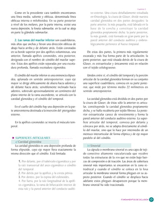 Capítulo 2

   Como en la precedente cara también encontramos                    vo externo. Una cisura detalladamente estudiada
una línea media, saliente y oblicua, denominada línea                en Osteología, la cisura de Glaser, divide nuestra
oblicua interna o milohioidea. En su parte posterior                 cavidad glenoidea en dos partes desiguales: la
a nivel de los molares, por la parte interna, existe una             parte anterior, la más pequeña, está labrada en la
nueva depresión, la foseta submaxilar, en la cual se aloja           base de la concha y constituye la cavidad
en parte la glándula submaxilar.                                     glenoidea propiamente dicha; la parte posterior,
                                                                     la más grande, está formada en gran parte por la
   2. Las ramas del maxilar inferior son cuadriláteras,              pared anterior del conducto auditivo y embrio-
más altas que anchas y llevan una dirección oblicua de               lógicamente pertenece al hueso timpanal.
abajo hacia arriba y de delante atrás. Están coronadas
en su borde superior por dos apófisis voluminosas, una            De estas dos partes, la primera más regularmente
anterior, llamada apófisis coronoides, otra posterior,         excavada y más lisa forma parte de la articulación; la
designada con el nombre de cóndilo del maxilar supe-           parte posterior, que está situada detrás de la cisura de
rior. Estas dos apófisis están separadas por una escota-       Glaser, es extraarticular y únicamente está en relación
dura profunda, llamada escotadura sigmoidea.                   con el tejido celulograsoso.

   El cóndilo del maxilar inferior es una eminencia elipsoi-       Unidos entre sí, el cóndilo del temporal y la porción
dea, aplanada en sentido anteroposterior, cuyo eje             articular de la cavidad glenoidea forman en su conjunto
mayor se dirige oblicuamente de afuera hacia adentro y         una superficie cuadrilátera, convexa en su parte poste-
de delante hacia atrás; sensiblemente inclinado hacia          rior, que mide por término medio 22 milímetros en
adentro, sobresale aproximadamente un centímetro del           sentido anteroposterior.
plano interno de la rama ascendente, se articula con la
cavidad glenoidea y el cóndilo del temporal.                       La cavidad glenoidea está dividida en dos partes por
                                                               la cisura de Glaser; de éstas sólo la anterior es articu-
    En el cuello del cóndilo hay una depresión en la par-      lar, constituyendo la cavidad glenoidea propiamente
te anterointerna destinada a la inserción del pterigoideo      dicha, y se halla recubierta por tejido fibroso. La poste-
externo.                                                       rior extraarticular carece de revestimiento y forma la
                                                               pared anterior del conducto auditivo externo. La super-
   En la apófisis coronoides se inserta el músculo tem-        ficie articular del temporal, convexa por delante y
poral.                                                         cóncava por atrás, no se adapta directamente al cóndi-
                                                               lo del maxilar, sino que lo hace por intermedio de un
                                                               menisco interarticular de forma elíptica y de eje mayor
   SUPERFICIES ARTICULARES . . . . . . . . . . . . . .         paralelo al del cóndilo.
   a) Cavidad glenoidea
   La cavidad glenoidea es una depresión profunda de               b) Sinovial
forma elipsoide, cuyo eje mayor lleva exactamente la               La cápsula o membrana sinovial es una capa de teji-
misma dirección que el cóndilo. Está limitada:                 do conectivo altamente vascularizada que recubre
                                                               todas las estructuras de la ATM que no están bajo fuer-
      1. Por delante, por el tubérculo cigomático y por        zas de compresión o de tracción. Las áreas de cobertura
      la raíz transversal del arco cigomático o cóndilo        sinovial más importantes se encuentran en la zona re-
      del temporal.                                            trodiscal y cuando el cóndilo se coloca en la fosa
      2. Por detrás por la apófisis y la cresta pétrea.        articular la membrana sinovial forma pliegues en su as-
      3. Por dentro, por la espina del esfenoides.             pecto posterior. Cuando el cóndilo se desplaza hacia
      4. Por fuera, por la raíz longitudinal de la apófi-      adelante estos pliegues desaparecen porque la mem-
      sis cigomática, la rama de bifurcación interior de       brana sinovial ha sido traccionada.
      esta raíz y la pared anterior del conducto auditi-


                                                                                                FUNDAMENTOS DE OCLUSIÓN     25
 