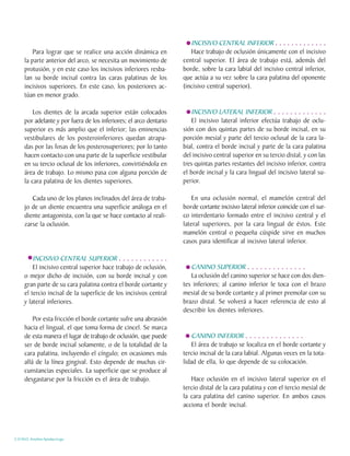 INCISIVO CENTRAL INFERIOR . . . . . . . . . . . . .
         Para lograr que se realice una acción dinámica en             Hace trabajo de oclusión únicamente con el incisivo
     la parte anterior del arco, se necesita un movimiento de       central superior. El área de trabajo está, además del
     protusión, y en este caso los incisivos inferiores resba-      borde, sobre la cara labial del incisivo central inferior,
     lan su borde incisal contra las caras palatinas de los         que actúa a su vez sobre la cara palatina del oponente
     incisivos superiores. En este caso, los posteriores ac-        (incisivo central superior).
     túan en menor grado.

         Los dientes de la arcada superior están colocados             INCISIVO LATERAL INFERIOR . . . . . . . . . . . . .
     por adelante y por fuera de los inferiores; el arco dentario      El incisivo lateral inferior efectúa trabajo de oclu-
     superior es más amplio que el inferior; las eminencias         sión con dos quintas partes de su borde incisal, en su
     vestibulares de los posteroinferiores quedan atrapa-           porción mesial y parte del tercio oclusal de la cara la-
     das por las fosas de los posterosuperiores; por lo tanto       bial, contra el borde incisal y parte de la cara palatina
     hacen contacto con una parte de la superficie vestibular       del incisivo central superior en su tercio distal, y con las
     en su tercio oclusal de los inferiores, convirtiéndola en      tres quintas partes restantes del incisivo inferior, contra
     área de trabajo. Lo mismo pasa con alguna porción de           el borde incisal y la cara lingual del incisivo lateral su-
     la cara palatina de los dientes superiores.                    perior.

        Cada uno de los planos inclinados del área de traba-            En una oclusión normal, el mamelón central del
     jo de un diente encuentra una superficie análoga en el         borde cortante incisivo lateral inferior coincide con el sur-
     diente antagonista, con la que se hace contacto al reali-      co interdentario formado entre el incisivo central y el
     zarse la oclusión.                                             lateral superiores, por la cara lingual de éstos. Este
                                                                    mamelón central o pequeña cúspide sirve en muchos
                                                                    casos para identificar al incisivo lateral inferior.

         INCISIVO CENTRAL SUPERIOR . . . . . . . . . . . .
         El incisivo central superior hace trabajo de oclusión,        CANINO SUPERIOR . . . . . . . . . . . . . .
     o mejor dicho de incisión, con su borde incisal y con             La oclusión del canino superior se hace con dos dien-
     gran parte de su cara palatina contra el borde cortante y      tes inferiores; al canino inferior le toca con el brazo
     el tercio incisal de la superficie de los incisivos central    mesial de su borde cortante y al primer premolar con su
     y lateral inferiores.                                          brazo distal. Se volverá a hacer referencia de esto al
                                                                    describir los dientes inferiores.
         Por esta fricción el borde cortante sufre una abrasión
     hacia el lingual, el que toma forma de cincel. Se marca
     de esta manera el lugar de trabajo de oclusión, que puede          CANINO INFERIOR . . . . . . . . . . . . . .
     ser de borde incisal solamente, o de la totalidad de la            El área de trabajo se localiza en el borde cortante y
     cara palatina, incluyendo el cíngulo; en ocasiones más         tercio incisal de la cara labial. Algunas veces en la tota-
     allá de la línea gingival. Esto depende de muchas cir-         lidad de ella, lo que depende de su colocación.
     cunstancias especiales. La superficie que se produce al
     desgastarse por la fricción es el área de trabajo.                Hace oclusión en el incisivo lateral superior en el
                                                                    tercio distal de la cara palatina y con el tercio mesial de
                                                                    la cara palatina del canino superior. En ambos casos
                                                                    acciona el borde incisal.



C.D.M.O. Anselmo Apodaca Lugo
 