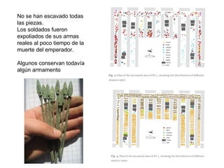 No se han escavado todas
las piezas.
Los soldados fueron
expoliados de sus armas
reales al poco tiempo de la
muerte del emperador.
Algunos conservan todavía
algún armamento
 
