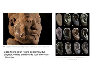 Cada figura es un retrato de un individuo
singular, vemos ejemplos de tipos de orejas
diferentes
 