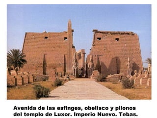 Avenida de las esfinges, obelisco y pilonos
del templo de Luxor. Imperio Nuevo. Tebas.
 