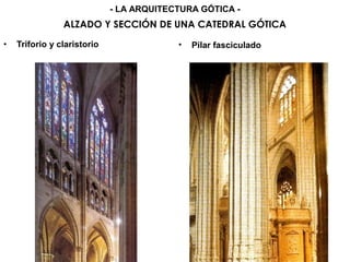 • Triforio y claristorio
ALZADO Y SECCIÓN DE UNA CATEDRAL GÓTICA
- LA ARQUITECTURA GÓTICA -
• Pilar fasciculado
 