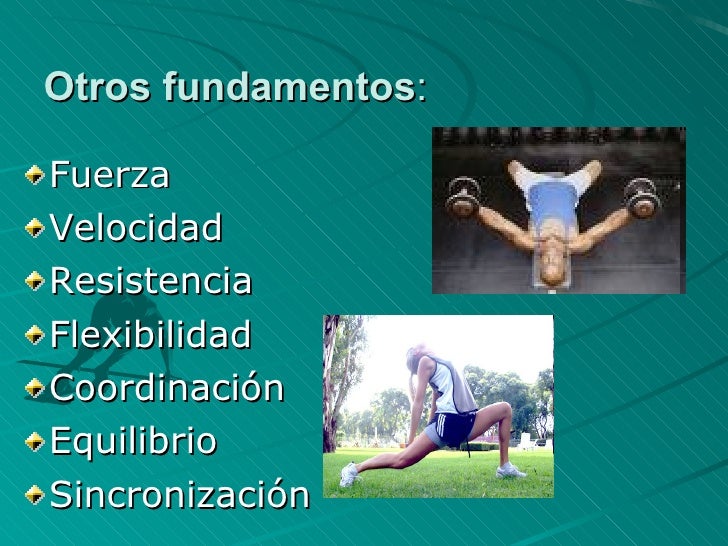 Fundamentos Anatomicos Y Ficiologicos De La Educacion FíSico