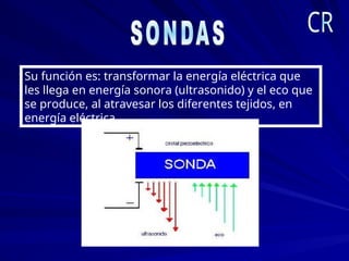 Su función es: transformar la energía eléctrica que
les llega en energía sonora (ultrasonido) y el eco que
se produce, al atravesar los diferentes tejidos, en
energía eléctrica.
 