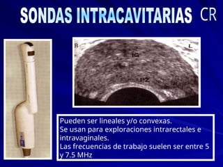 Pueden ser lineales y/o convexas.
Se usan para exploraciones intrarectales e
intravaginales.
Las frecuencias de trabajo suelen ser entre 5
y 7.5 MHz
 