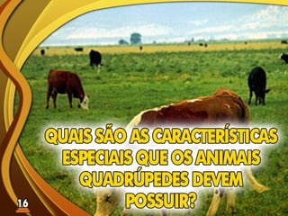 Fundamentos Bíblicos 15 - Estilo