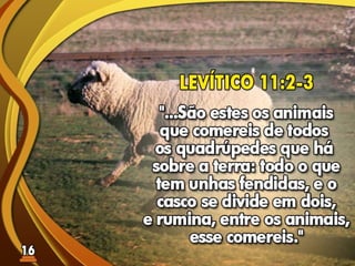 Fundamentos Bíblicos 15 - Estilo