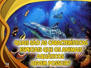 Fundamentos Bíblicos 15 - Estilo