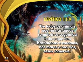 Fundamentos Bíblicos 15 - Estilo