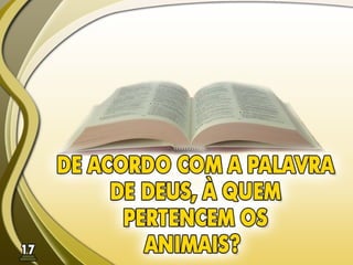 Fundamentos Bíblicos 16 - Dízimos