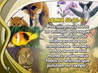 Fundamentos Bíblicos 16 - Dízimos