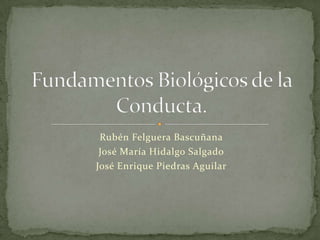 Rubén Felguera Bascuñana
 José María Hidalgo Salgado
José Enrique Piedras Aguilar
 