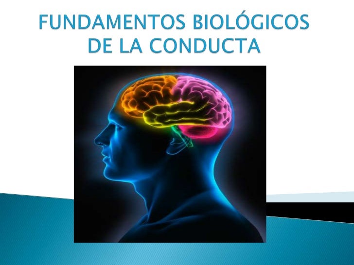 Fundamentos biológicos de la conducta (l)