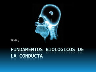 TEMA 3


FUNDAMENTOS BIOLOGICOS DE
LA CONDUCTA
 