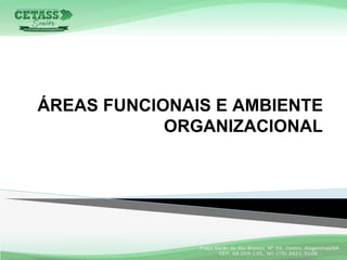 ÁREAS FUNCIONAIS E AMBIENTE
ORGANIZACIONAL
 
