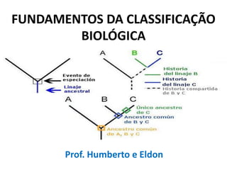 FUNDAMENTOS DA CLASSIFICAÇÃO
        BIOLÓGICA




       Prof. Humberto e Eldon
 