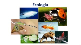 Ecologia
1
 