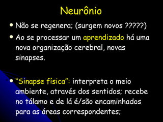 Neurônio Não se regenera; (surgem novos ?????) Ao se processar um  aprendizado  há uma nova organização cerebral, novas sinapses.  “ Sinapse física”:  interpreta o meio ambiente, através dos sentidos; recebe no tálamo e de lá é/são encaminhados para as áreas correspondentes; 