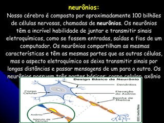 neurônios: Nosso cérebro é composto por aproximadamente 100 bilhões de células nervosas, chamadas de  neurônios . Os neurônios têm a incrível habilidade de juntar e transmitir sinais eletroquímicos, como se fossem entradas, saídas e fios de um  computador. Os neurônios compartilham as mesmas características e têm as mesmas partes que as outras células, mas o aspecto eletroquímico os deixa transmitir sinais por longas distâncias e passar mensagens de um para o outro. Os neurônios possuem três partes básicas: corpo celular, axônio e dendritos (Freudenrich) 