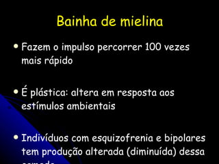 Bainha de mielina Fazem o impulso percorrer 100 vezes mais rápido É plástica: altera em resposta aos estímulos ambientais  Indivíduos com esquizofrenia e bipolares tem produção alterada (diminuída) dessa camada. 